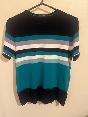 G Y Goldlion Crewneck Striped Knit Tee in Teal, Black & White